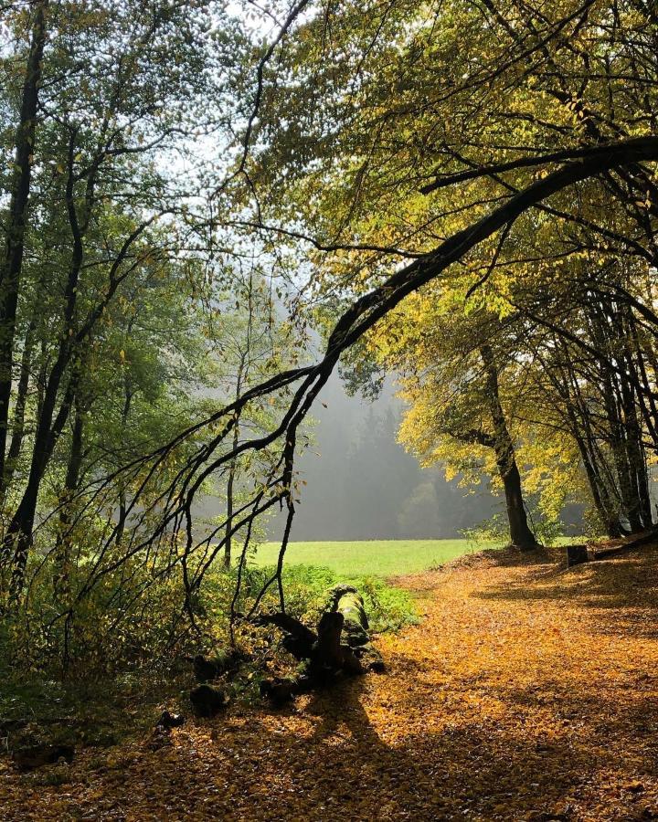 Gartenblick Leichlingen Exterior photo