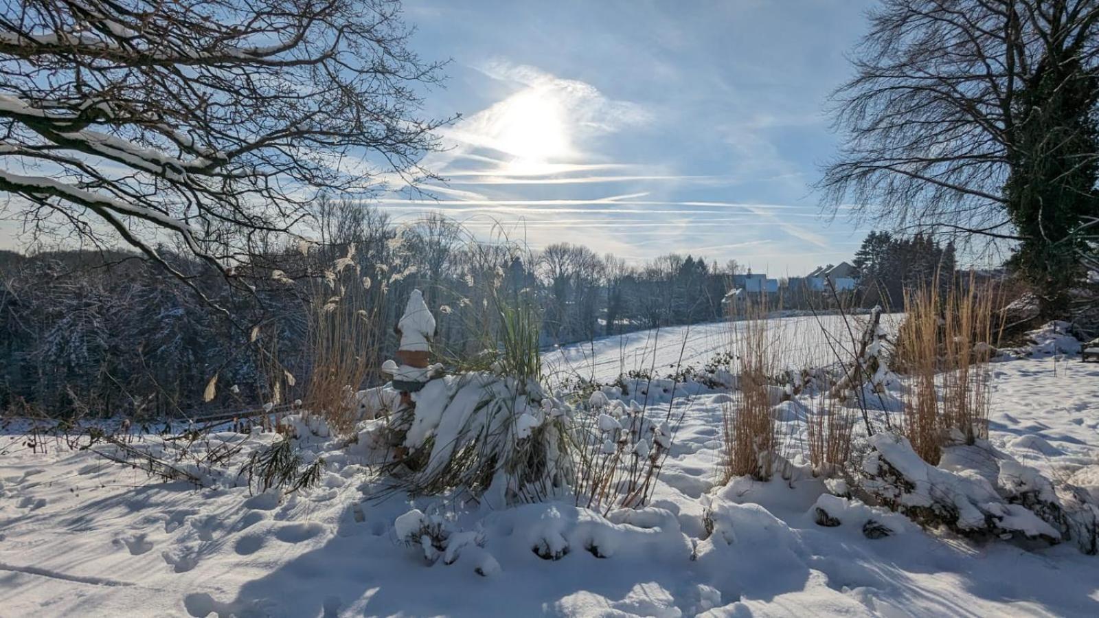 Gartenblick Leichlingen Exterior photo